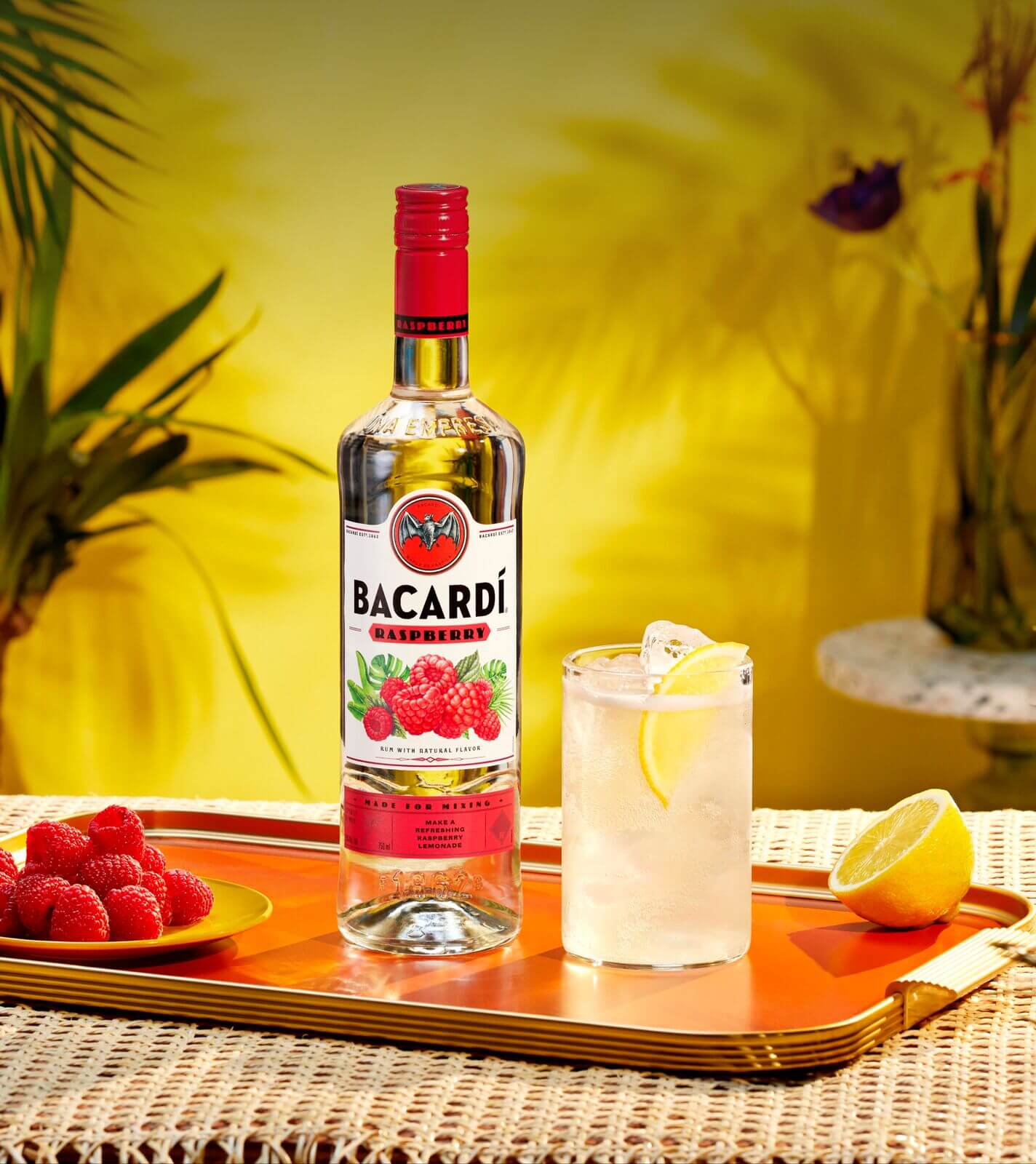 FY23_Bacardi_Global_Our_Rums_Bacardi_Raspberry-1