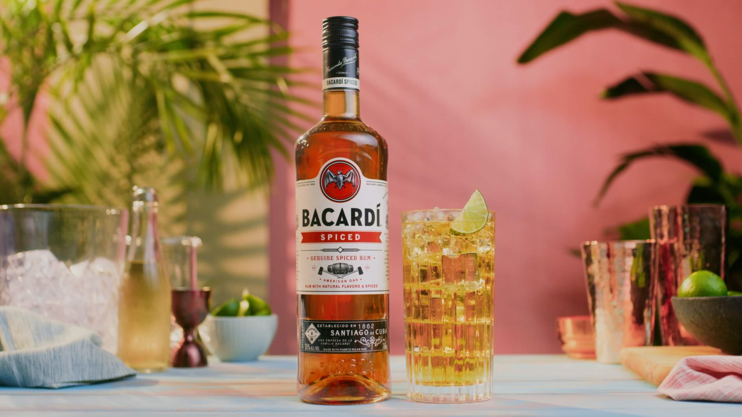 Spiced Rum & Ginger Ale Cocktail Recipe | BACARDÍ Canada