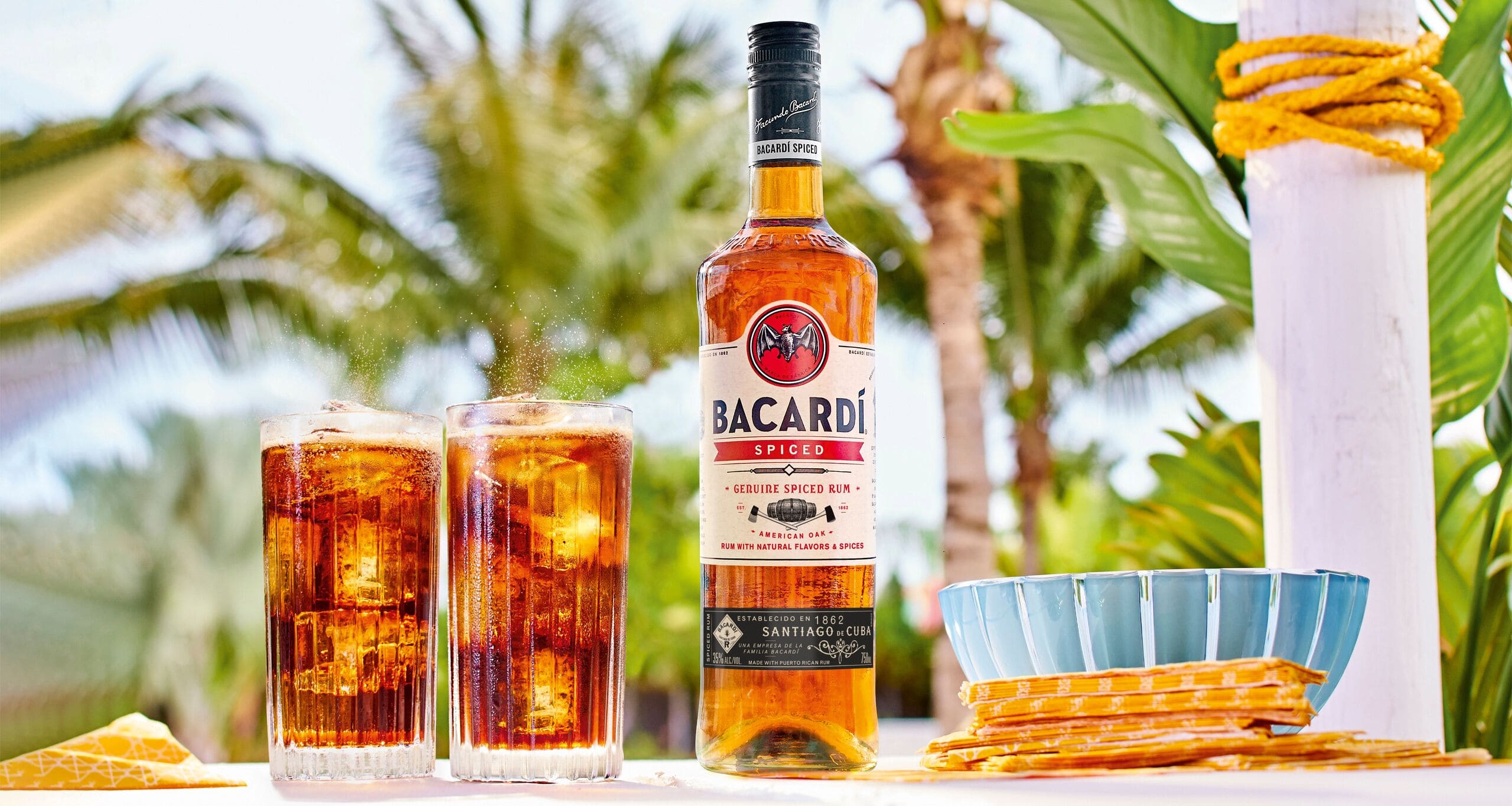 BACARDÍ Spiced Rum Spice Rum 35 Proof BACARDÍ US