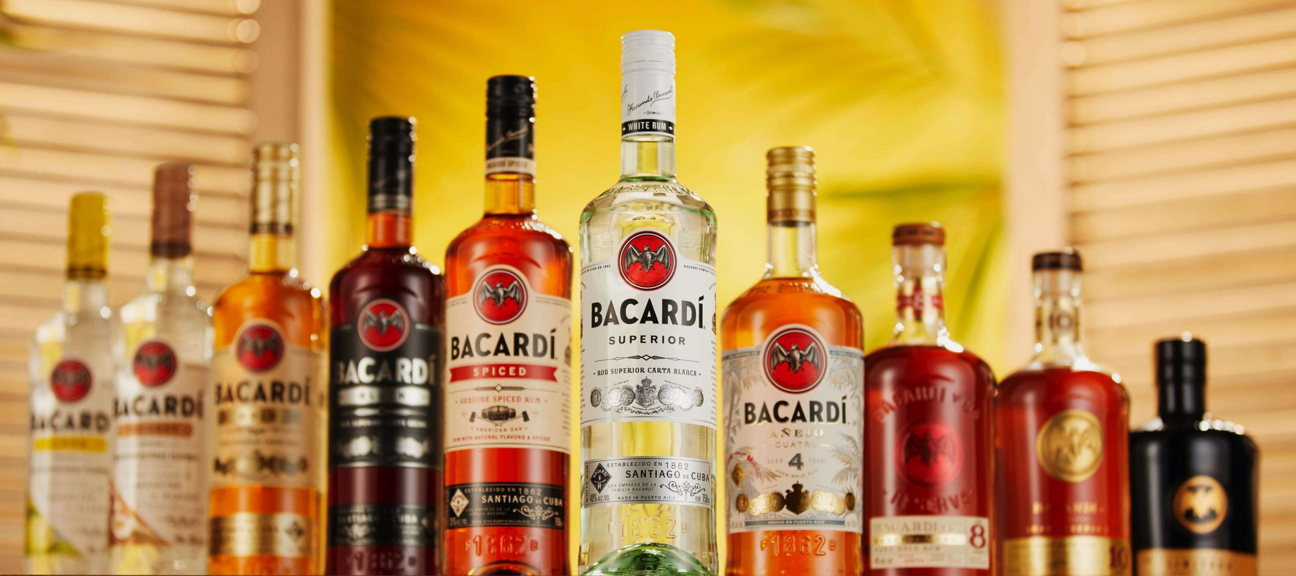 bacard-rums-discover-our-range-of-rums-white-dark-spiced