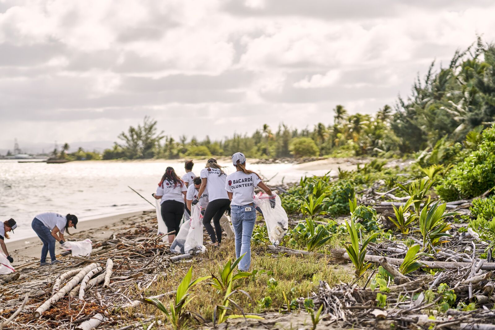 FY23_Global_Bacardi_BeachCleanUpVolunteers2434_AdvertisingAsset_CasaBacardi (1)
