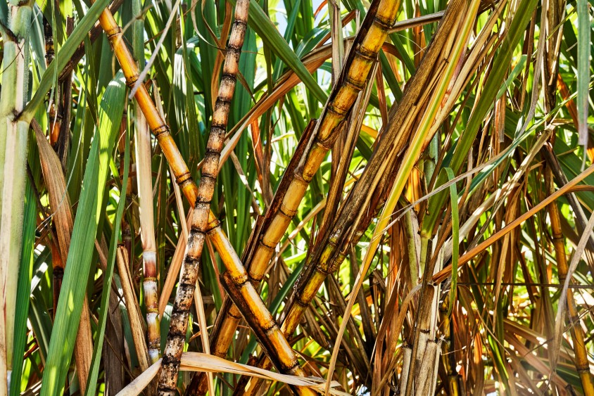 d92bdcc558b90f390ff81987430cc306