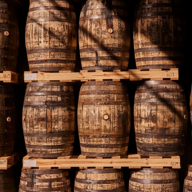 FY23_Global_Bacardi_Barrels119229_AdvertisingAsset_CasaBacardi-1-1-1