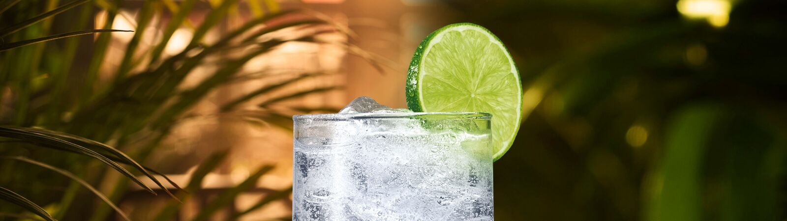 Bacardi Lime & Soda – CWI – EN-US