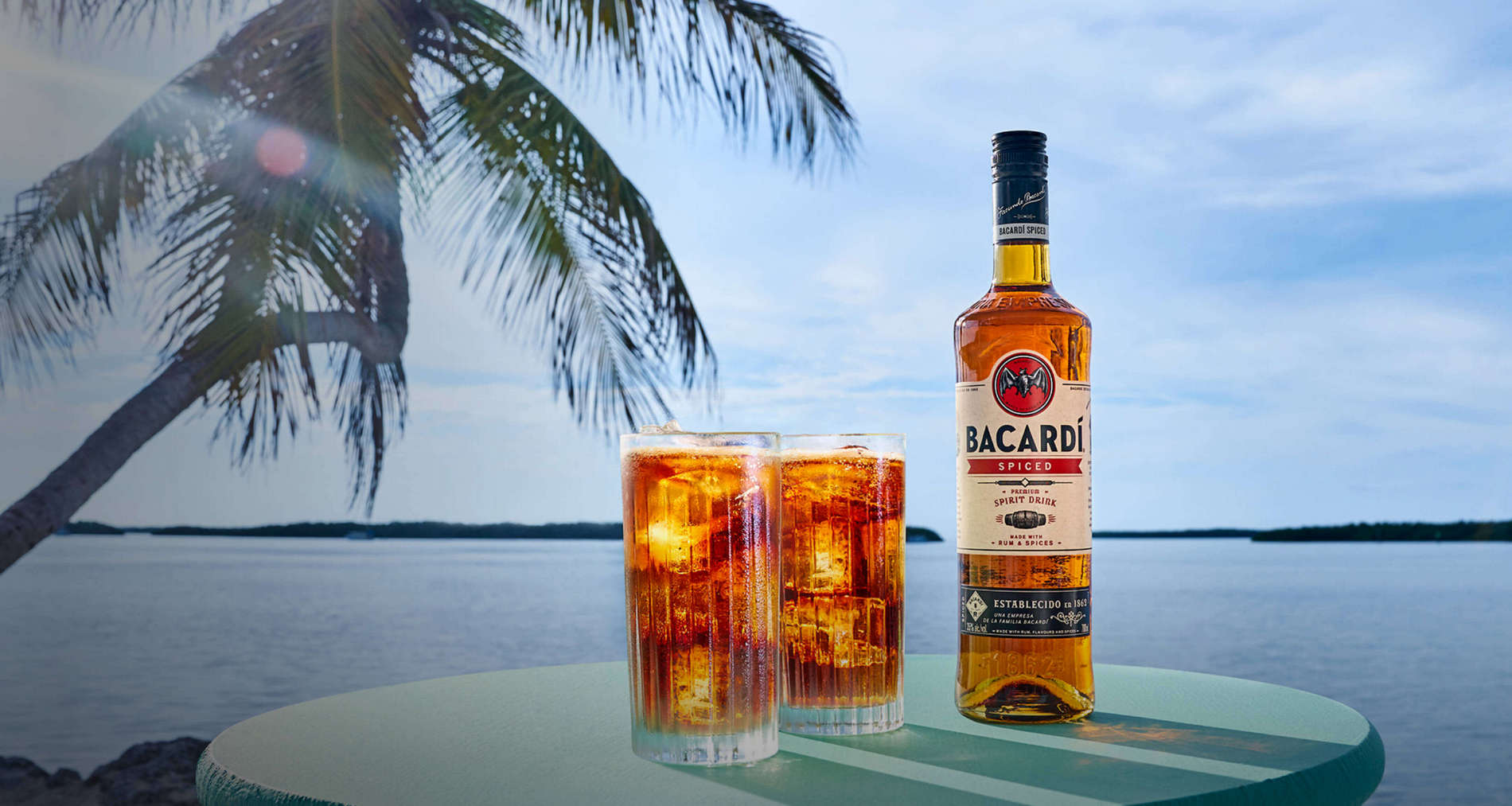 BACARDÍ Spiced Rum | Spice Rum | 35% Proof | BACARDÍ Global