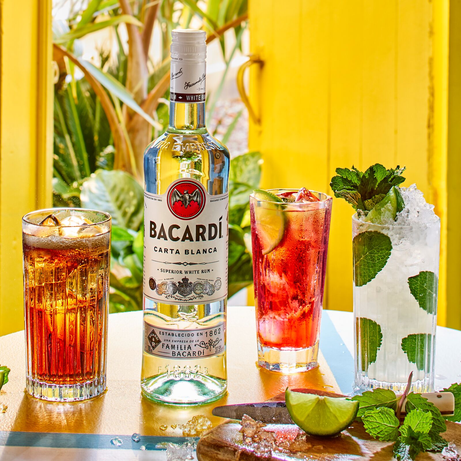 F21_BACARDI_CartaBlanca_Lifestyle (1)