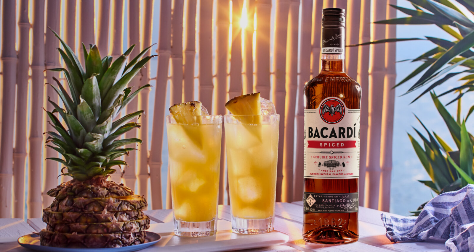 Medium_1600_PNG-BACARDI_Spiced-Pineapple_HeaderBanner_Desktop_PBX