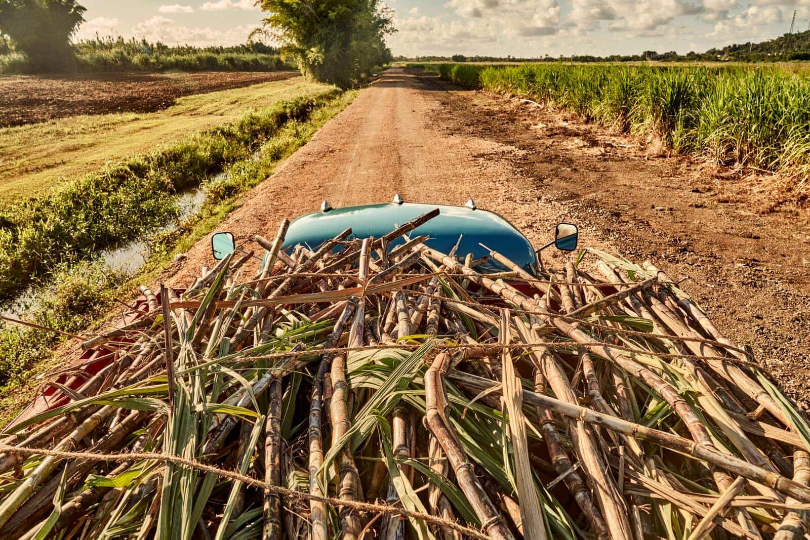 FY23_Global_Bacardi_-SugarcaneTruckDriver19665_AdvertisingAsset_CasaBacardi-1