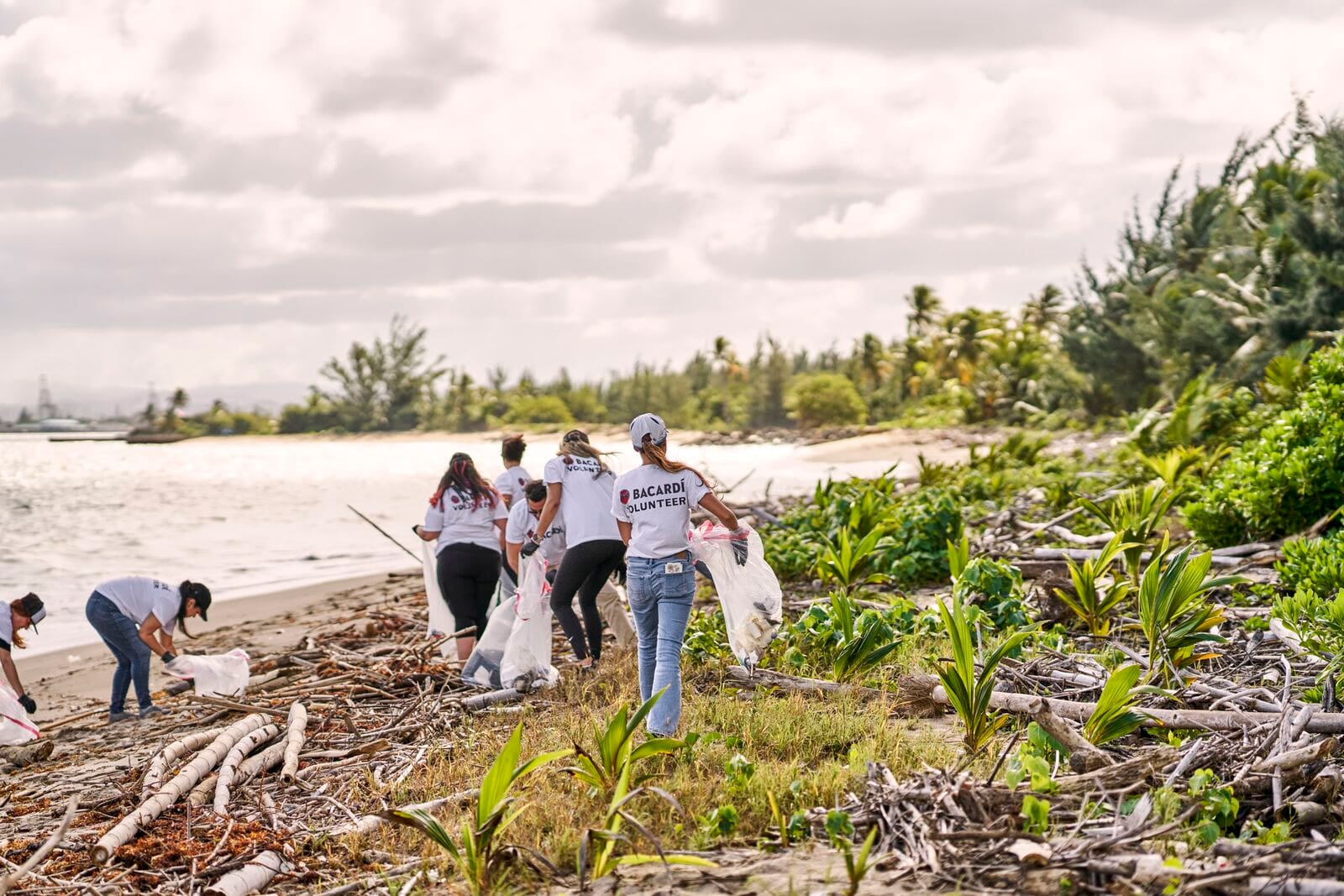 FY23_Global_Bacardi_BeachCleanUpVolunteers2434_AdvertisingAsset_CasaBacardi