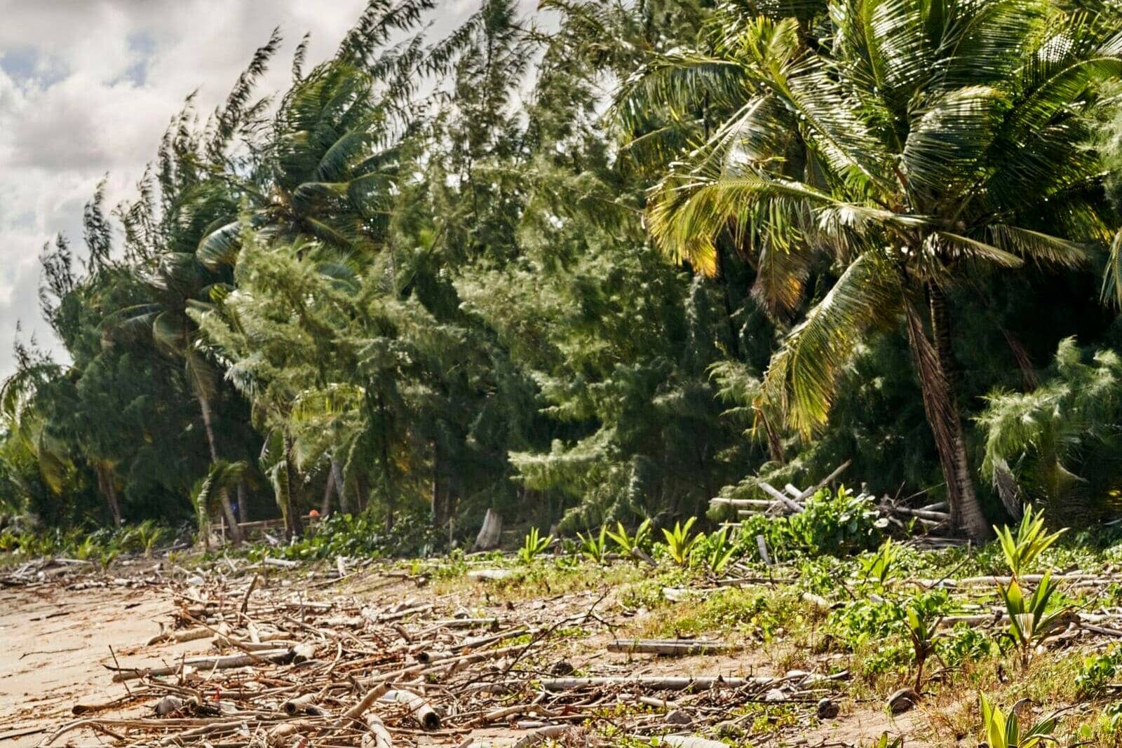 FY23_Global_Bacardi_BeachCleanUpVolunteers2401_AdvertisingAsset_CasaBacardi-1-1-1