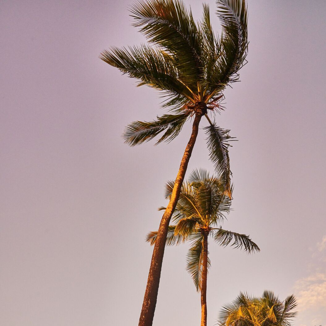 FY22_Bacardi_CasaBacardi_PuertoRico_RumProduction_Molasses_Process_004-1