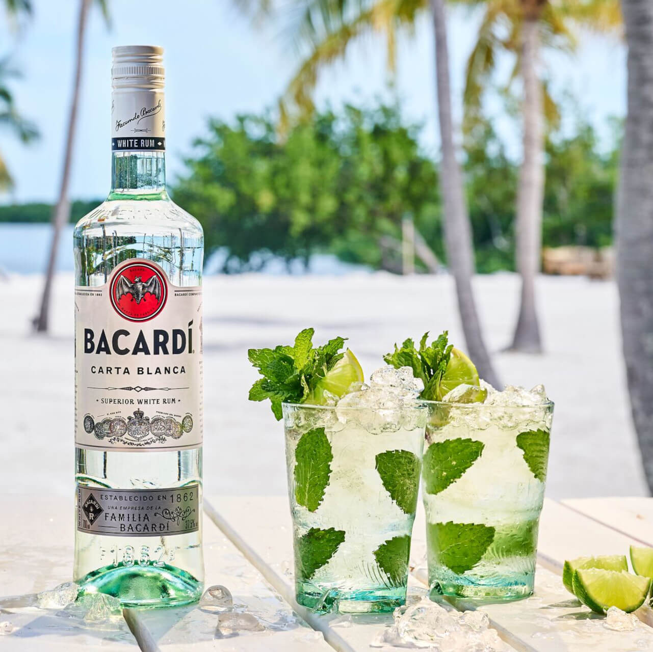 FY21_UK_Bacardi_Cartablanca_Globalassettoolkit_Mojitogroupserve_Website_Banner_3000x2250_755886-8 (1)