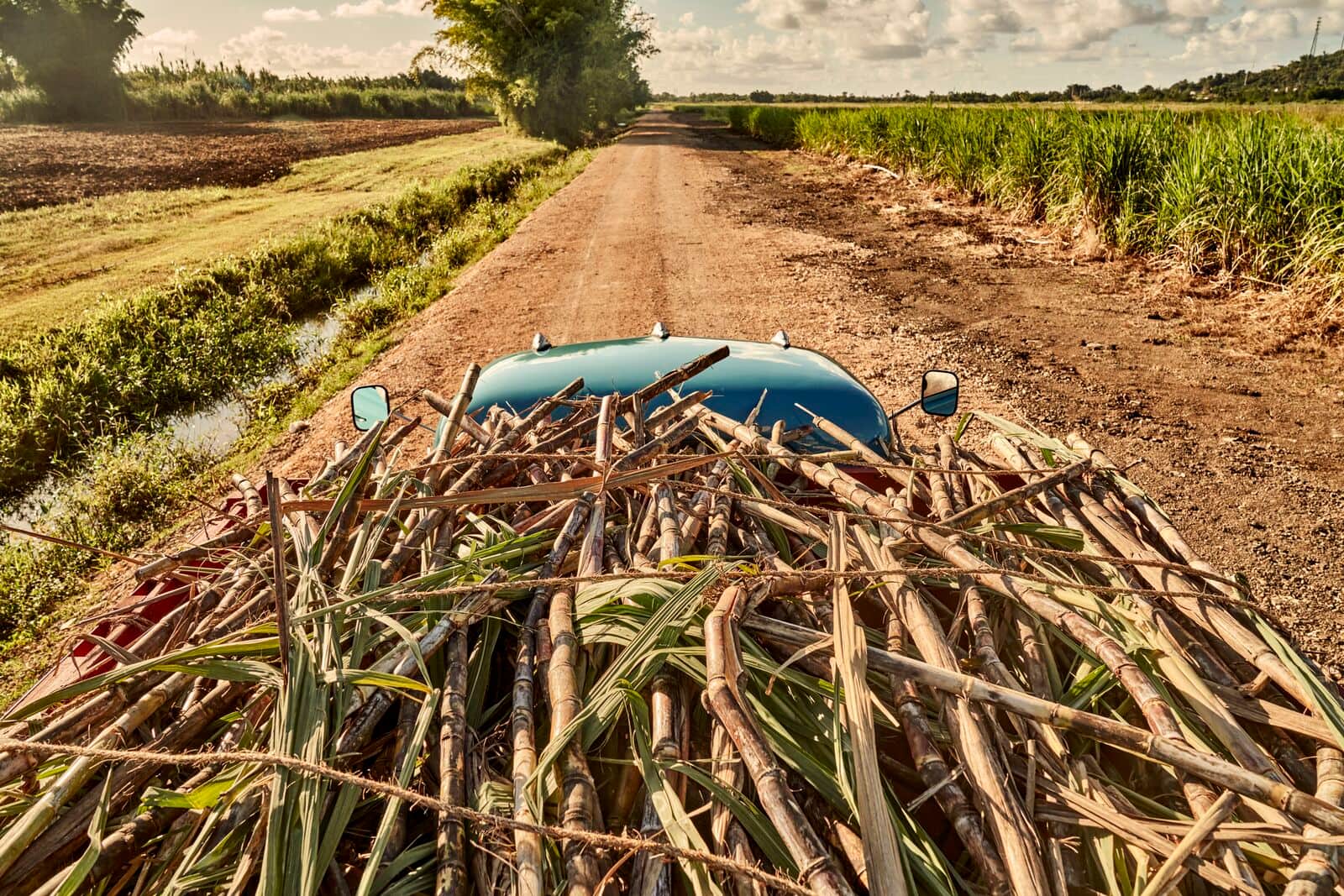 FY23_Global_Bacardi_-SugarcaneTruckDriver19665_AdvertisingAsset_CasaBacardi-1
