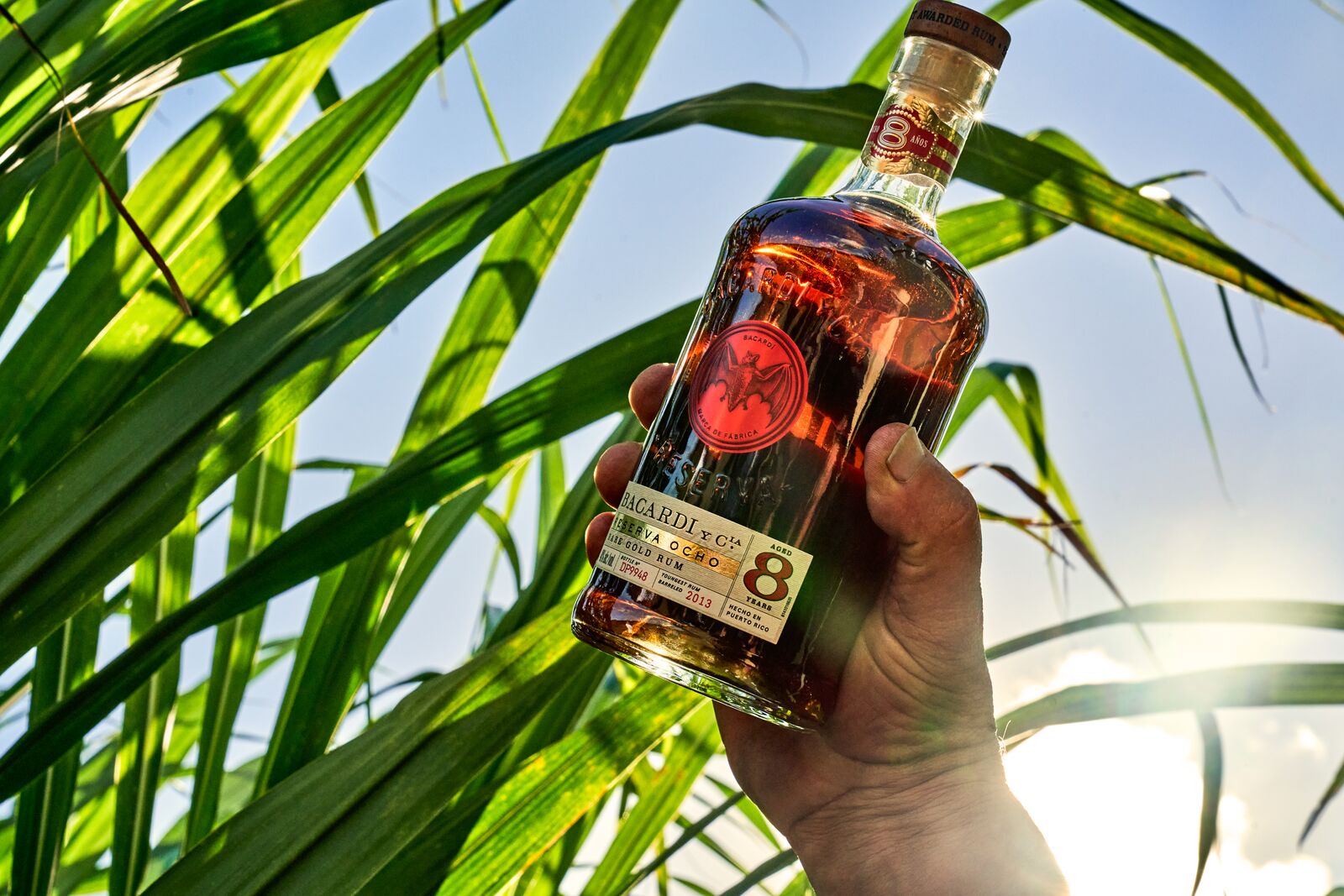 FY23_Global_Bacardi_-SugarcaneOcho18735_AdvertisingAsset_CasaBacardi